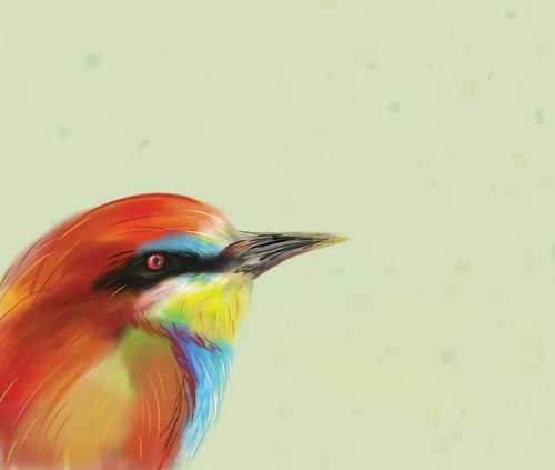 European Bee Eater